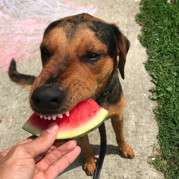 Meet your Posher, Steven - Picture 1 of 1